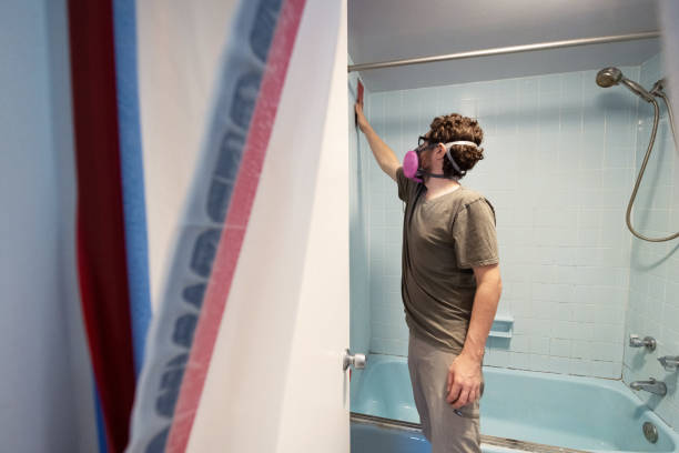 Best Mold Damage Restoration  in Buckhead Ridge, FL