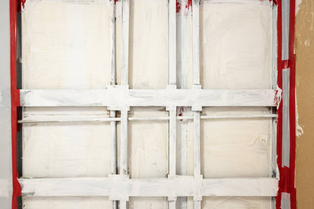 Reliable Buckhead Ridge, FL Mold Removal Solutions