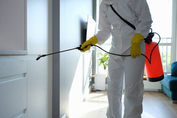 Best Mold Removal for HVAC Installations  in Buckhead Ridge, FL