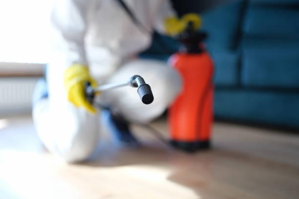 Best Forensic Mold Investigation  in Buckhead Ridge, FL