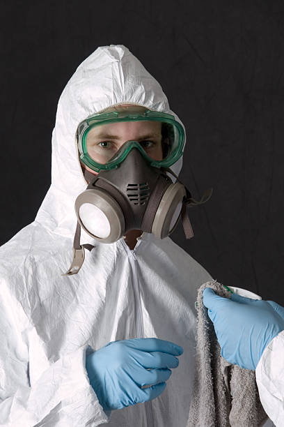 Best Industrial Mold Remediation  in Buckhead Ridge, FL
